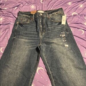 NWT PacSun extreme baggy jeans